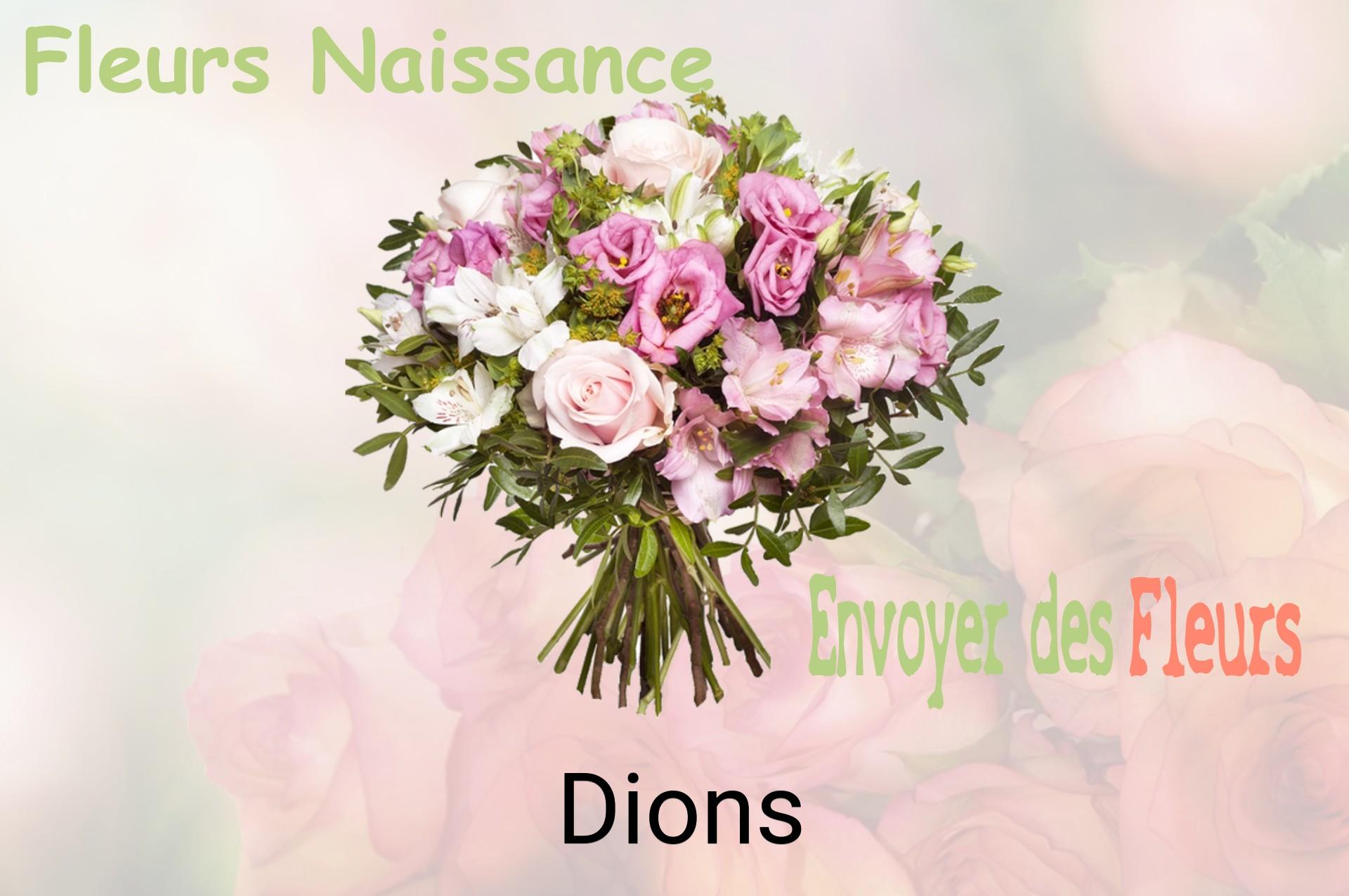 Bouquet de fleurs de naissance livré à Dions
